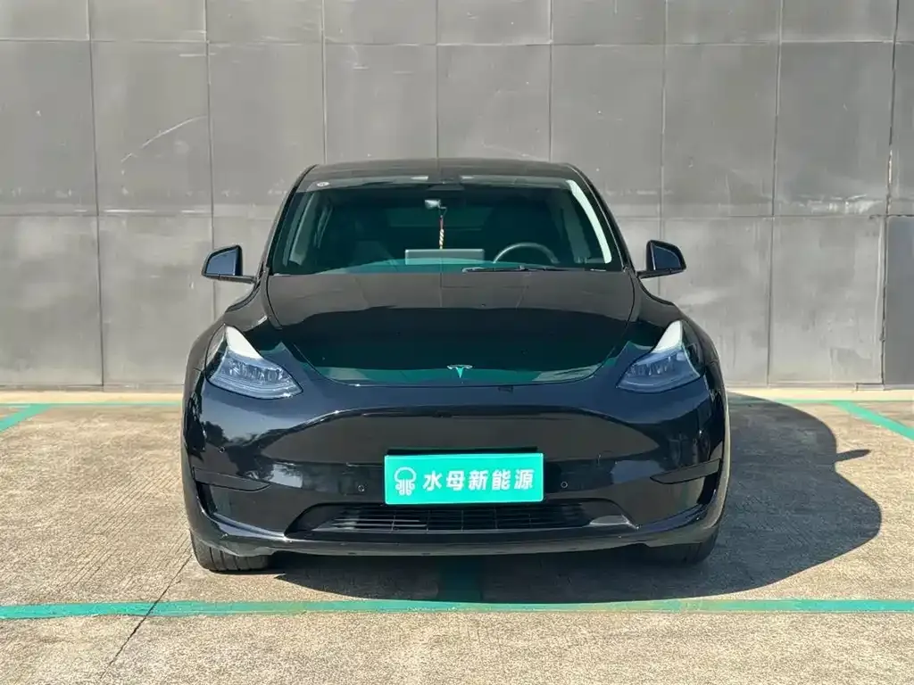 Tesla Model Y — фото 8