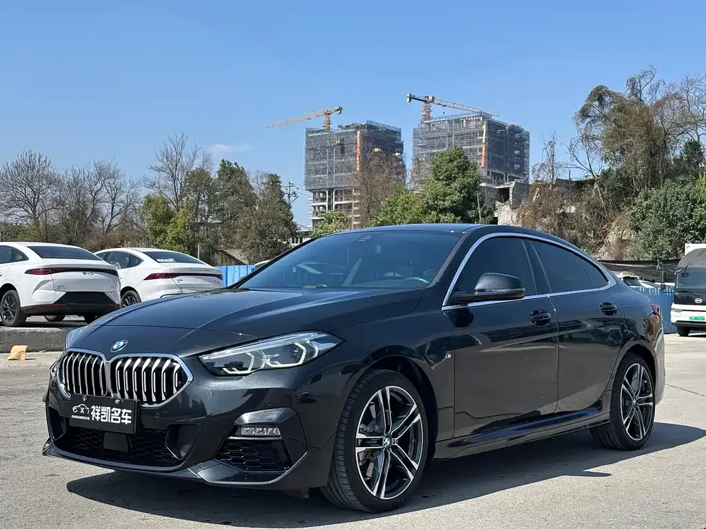 BMW 2 Series (Import) — фото 1