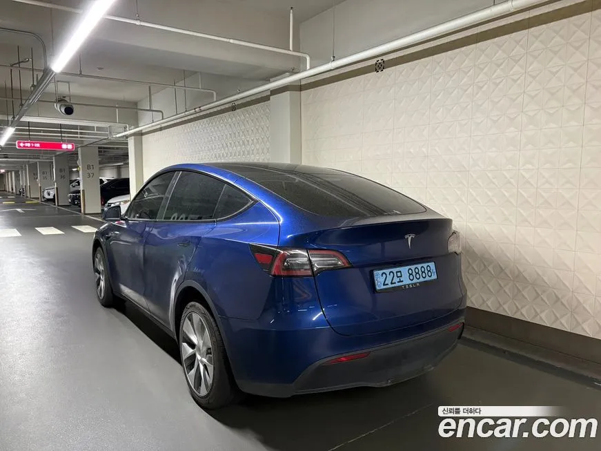 Tesla Model Y — фото 7