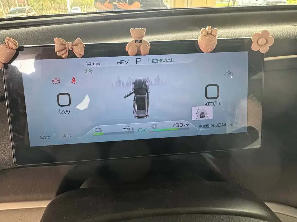 BYD Pro New Energy 2023 из CN, фото 8