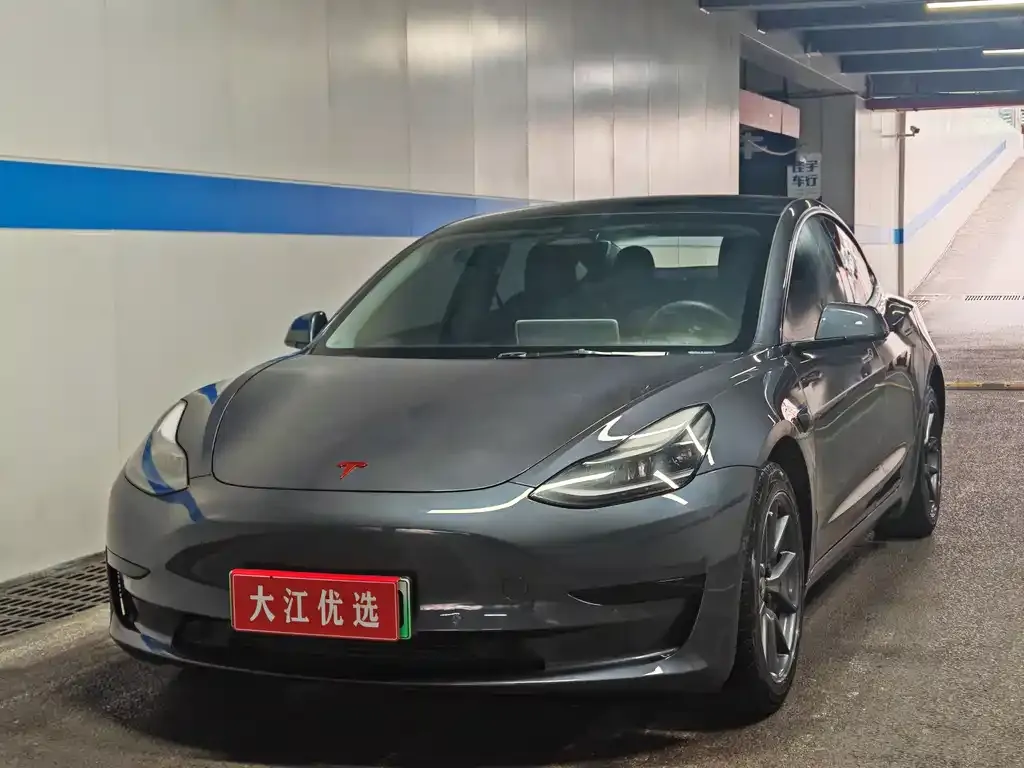 Tesla Model 3 2021 из CN, фото 1
