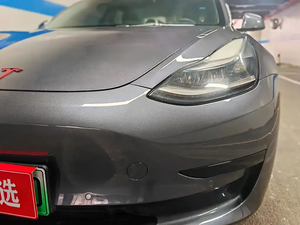 Tesla Model 3 2021 из CN, фото 4
