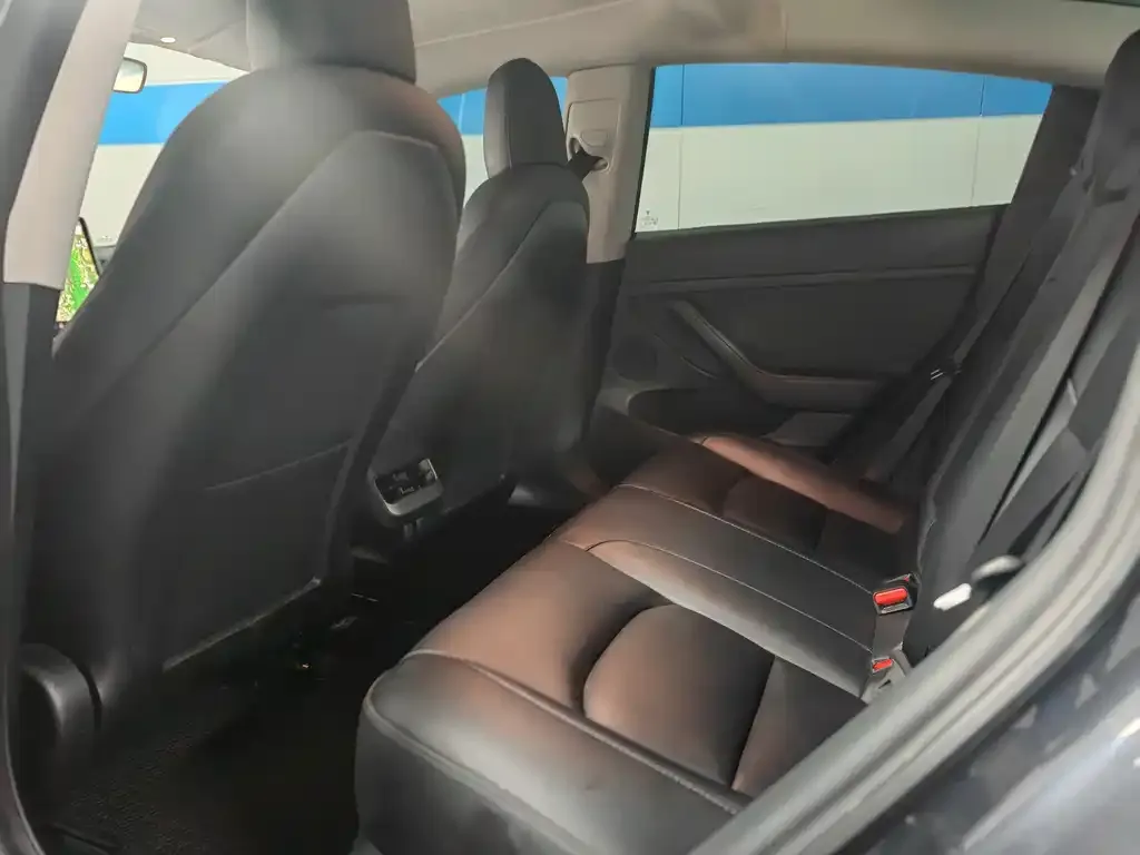 Tesla Model 3 2021 из CN, фото 2