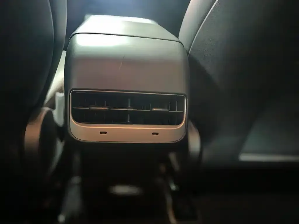 Tesla Model 3 2021 из CN, фото 6