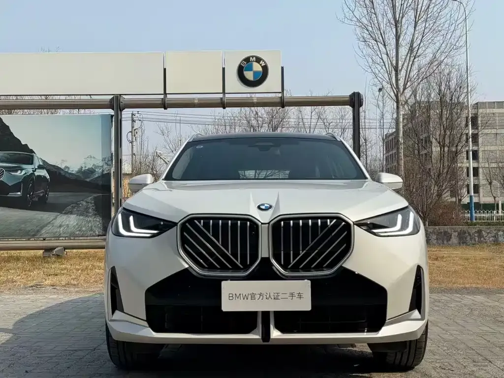 BMW X3 2025 из CN, фото 7