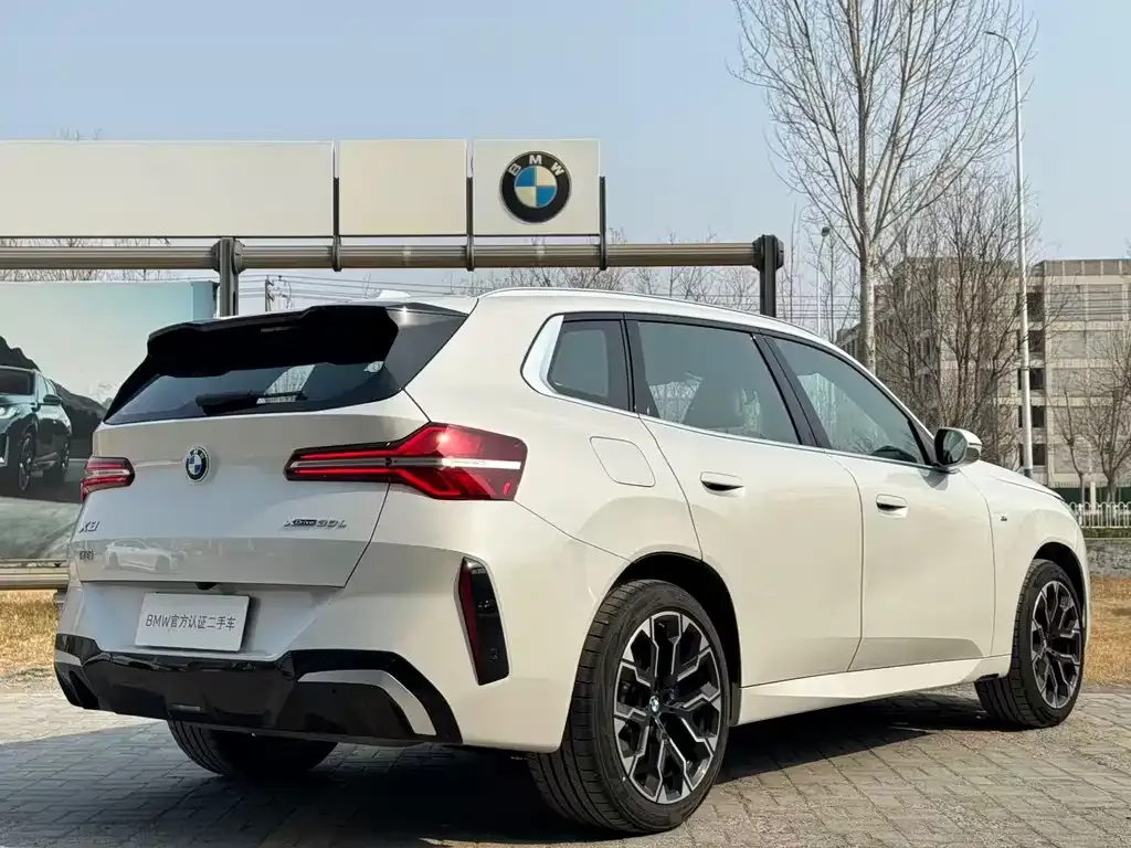 BMW X3 2025 из CN, фото 8