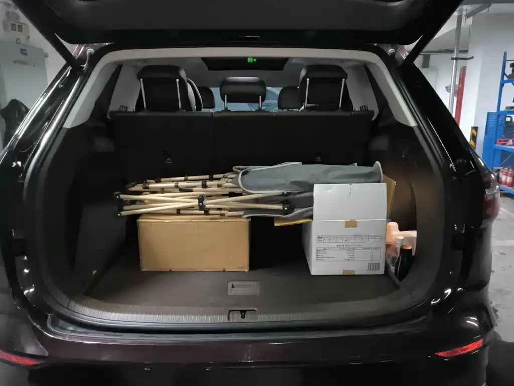 Volkswagen Viloran 2022 из CN, фото 4