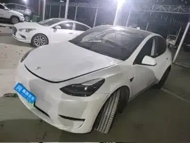 Tesla Model Y — фото 1