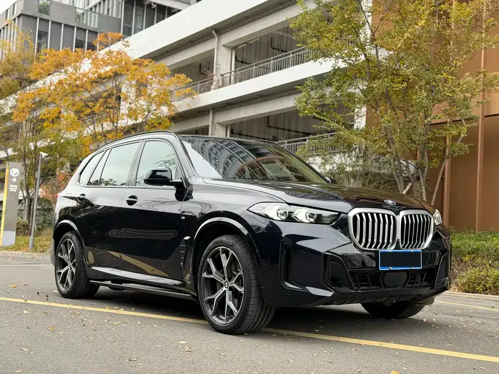 BMW X5 — фото 9