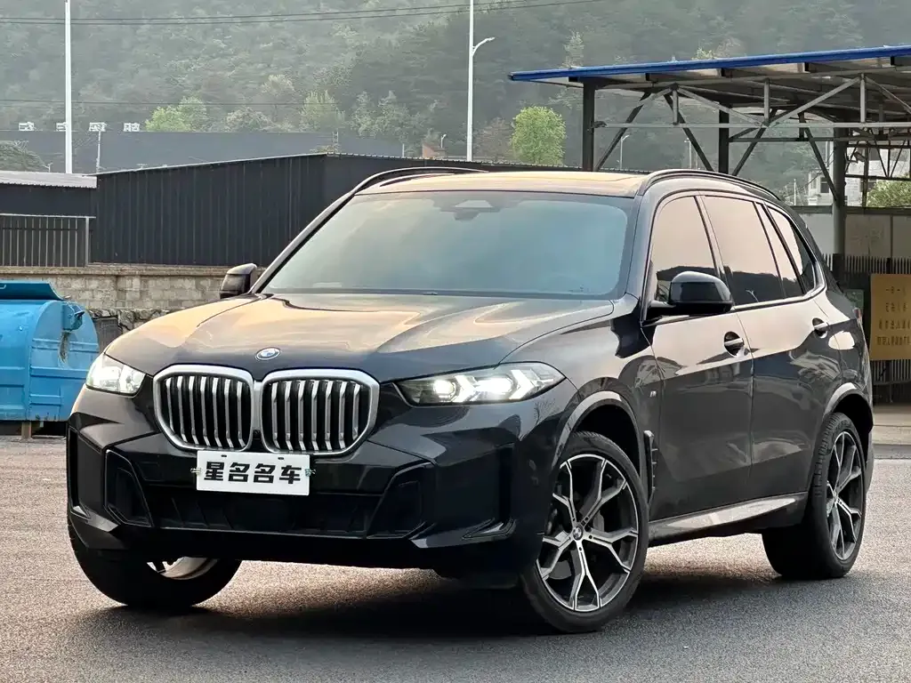 BMW X5 2025 из CN, фото 1