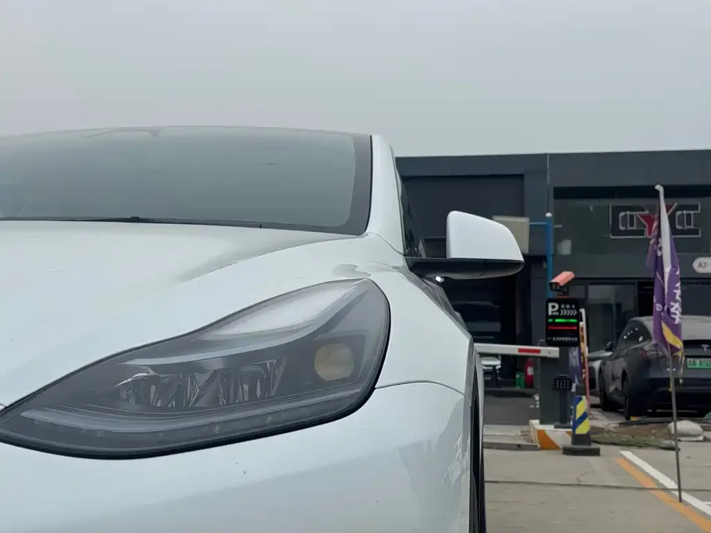 Tesla Model Y — фото 9