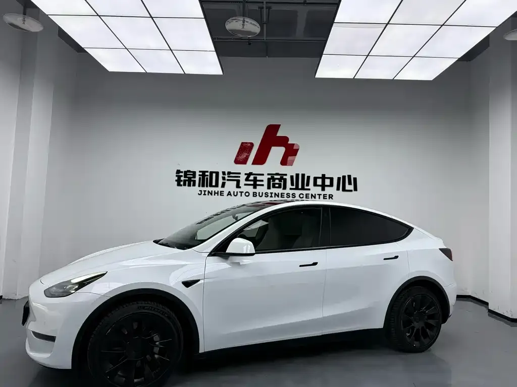 Tesla Model Y 2022 из CN, фото 1