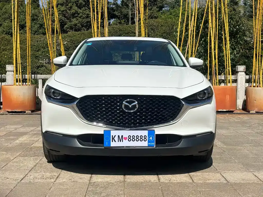 Mazda CX-30 — фото 10