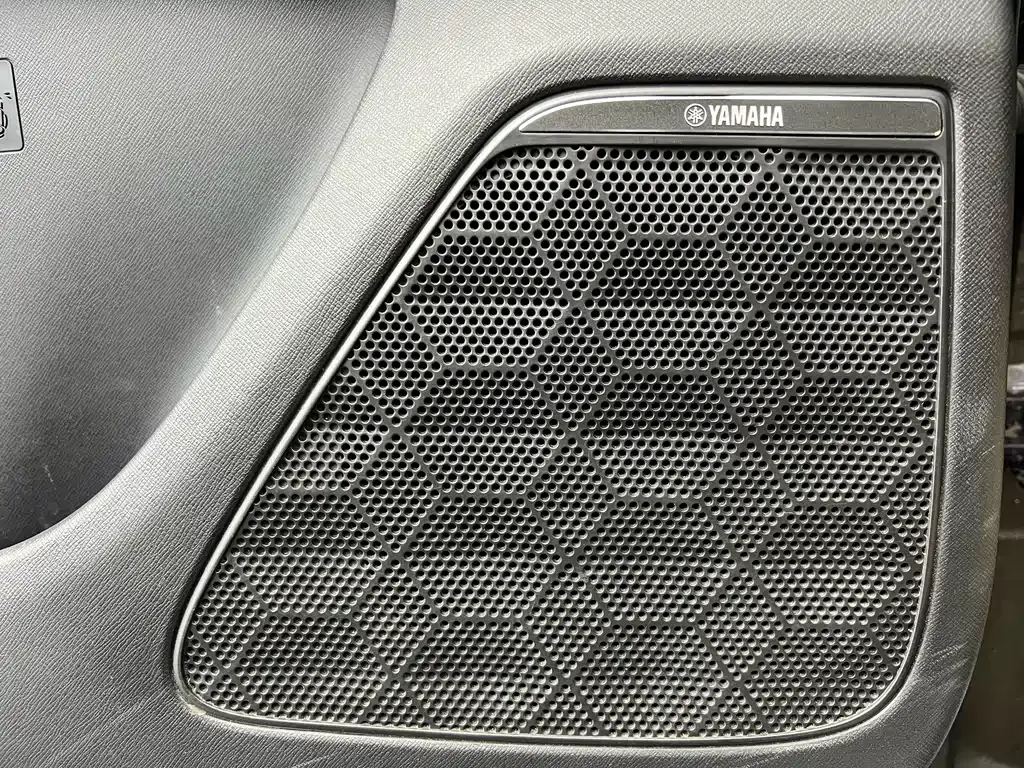 GAC Motor Trumpchi E9 — фото 10