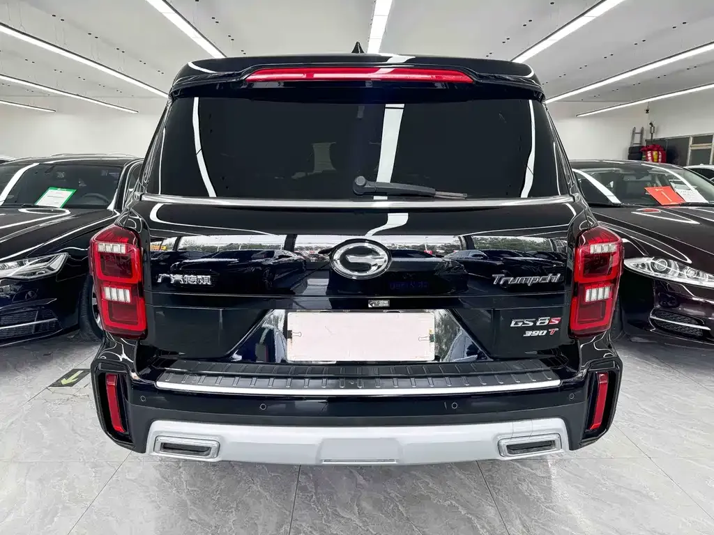 GAC Motor Trumpchi GS8 — фото 3