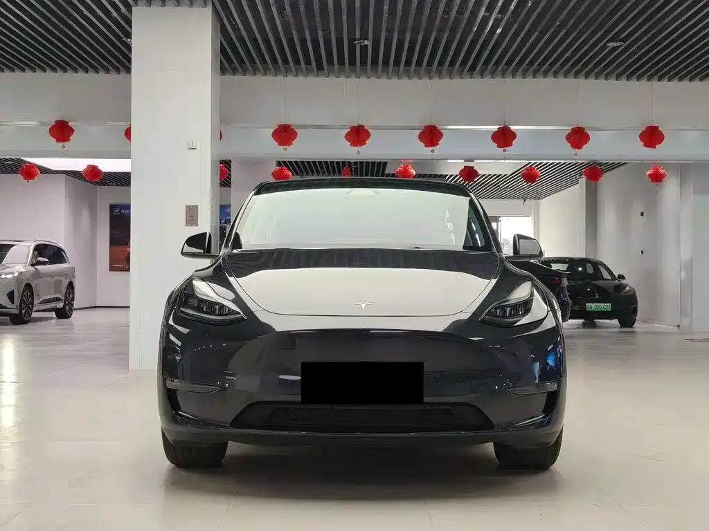 Tesla Model Y — фото 2