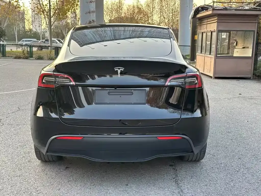 Tesla Model Y 2022 из CN, фото 7