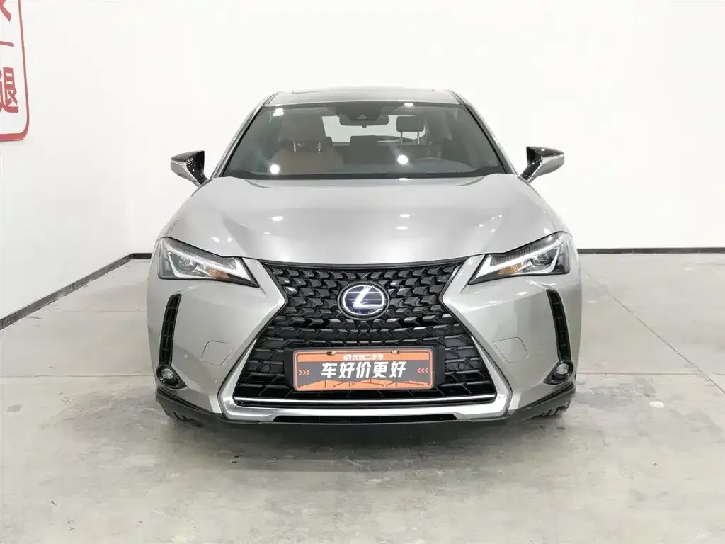Lexus UX New Energy 2022 из CN, фото 6
