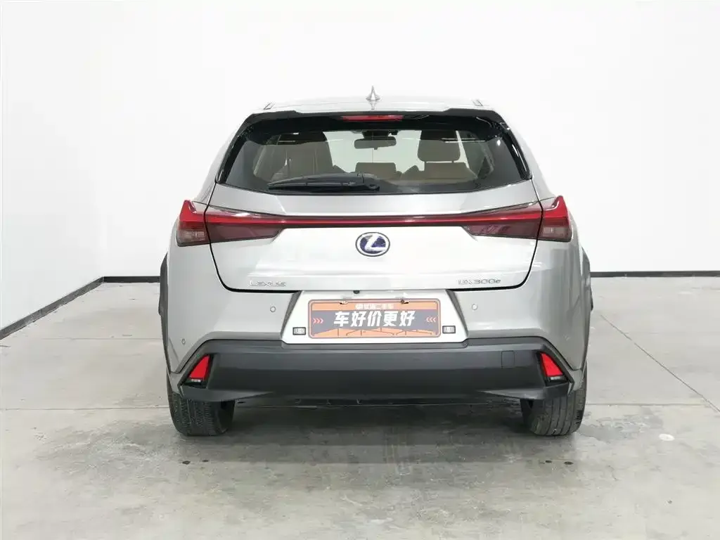 Lexus UX New Energy 2022 из CN, фото 3