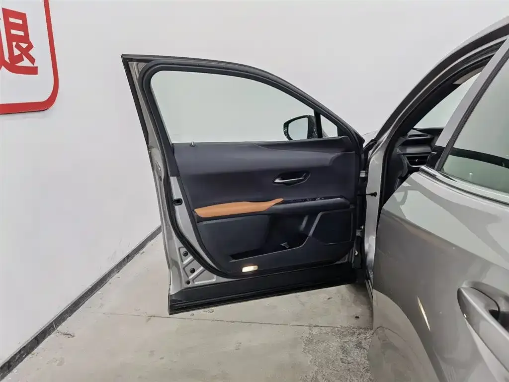 Lexus UX New Energy 2022 из CN, фото 4