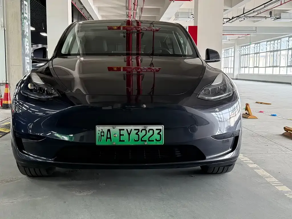 Tesla Model Y — фото 8