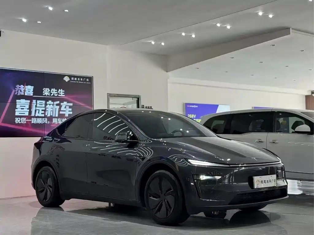 Tesla Model Y — фото 4
