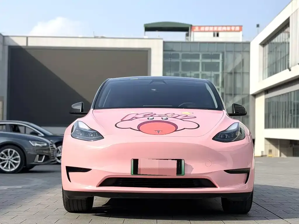 Tesla Model Y — фото 3