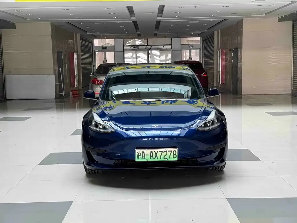 Tesla Model 3 2021 из CN, фото 7