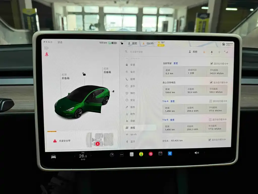 Tesla Model 3 2021 из CN, фото 2