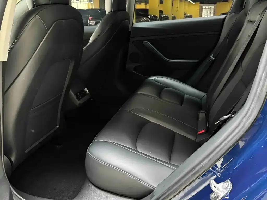 Tesla Model 3 2021 из CN, фото 9