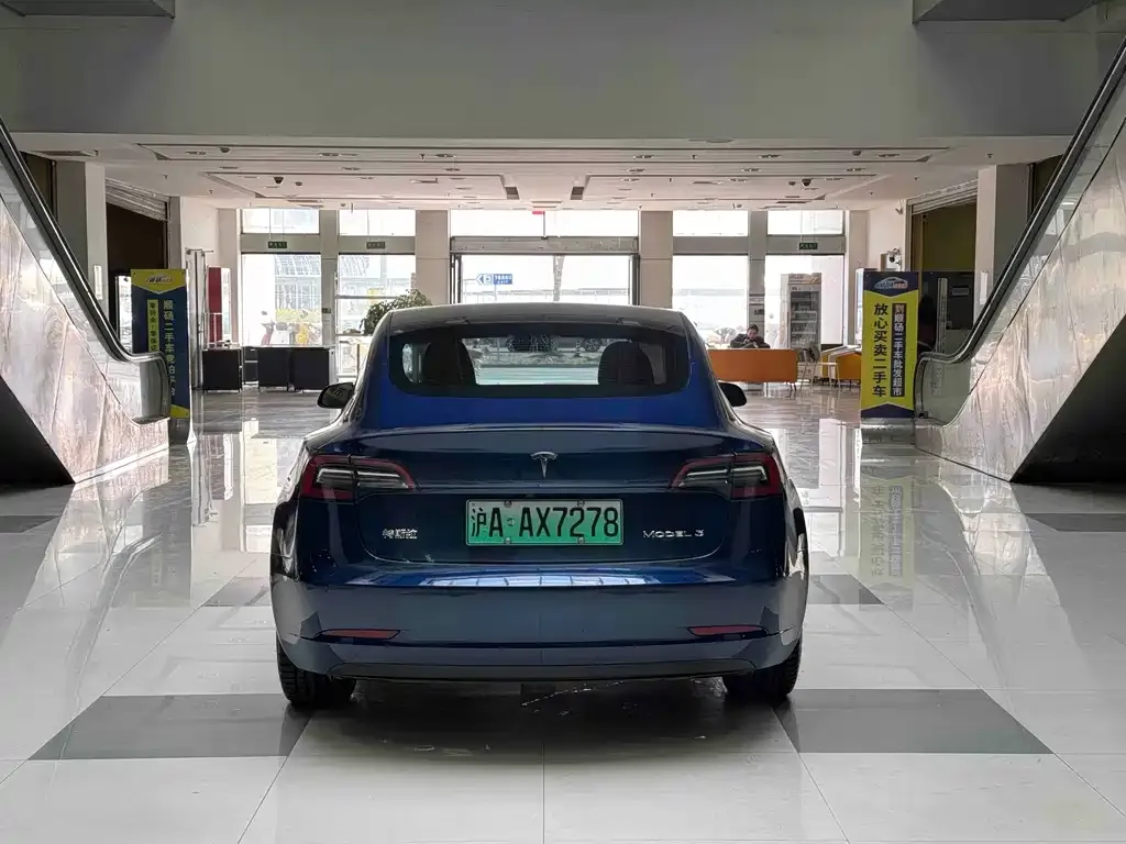 Tesla Model 3 2021 из CN, фото 5
