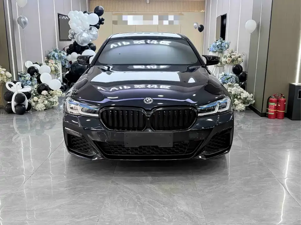 BMW 5 Series (Import) 2021 из CN, фото 3