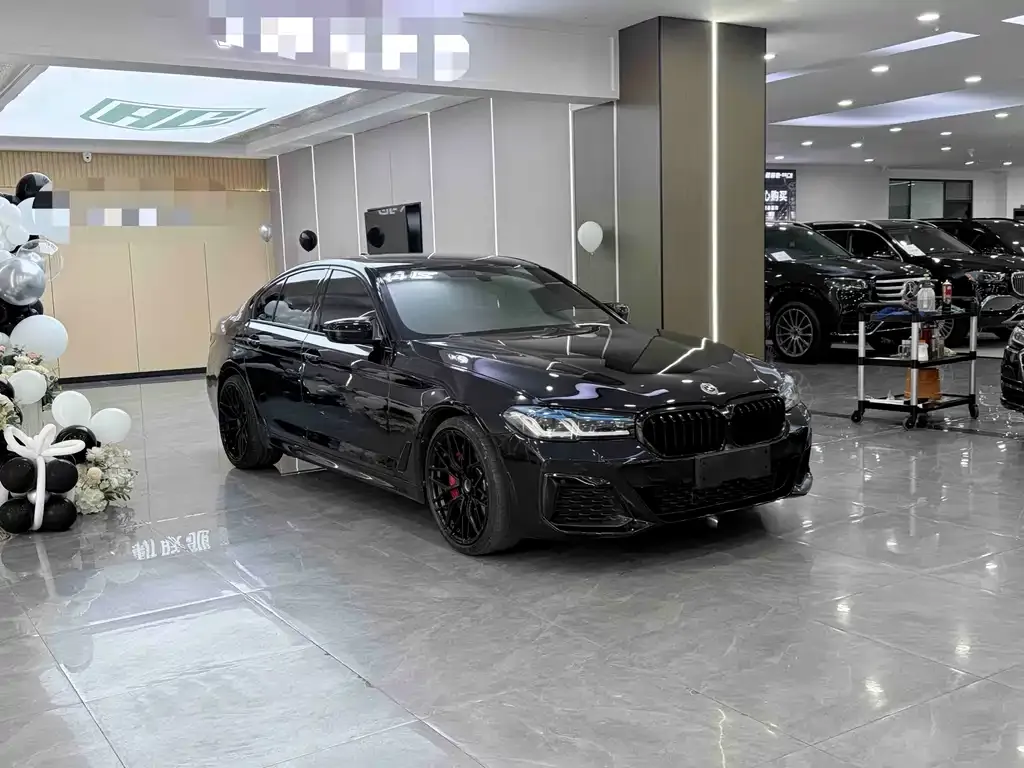 BMW 5 Series (Import) 2021 из CN, фото 8