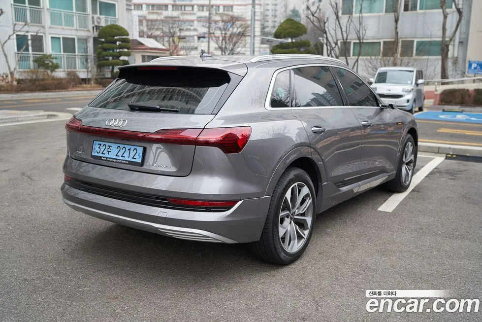 Audi e-tron 2021 из KR, фото 10