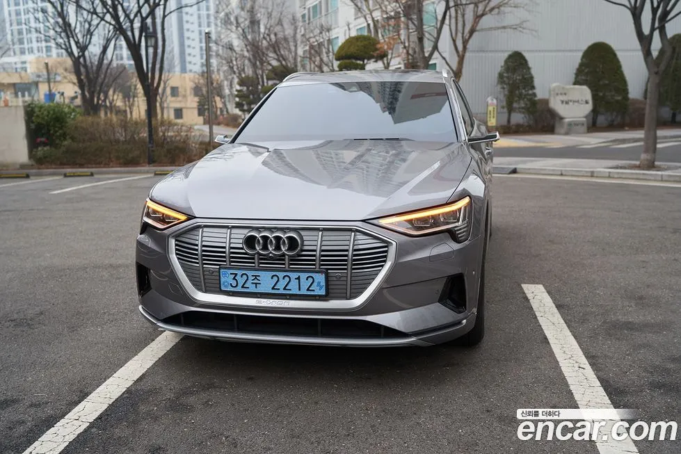 Audi e-tron 2021 из KR, фото 4