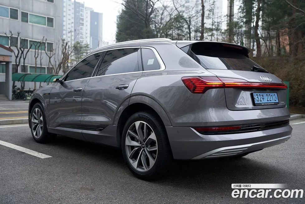 Audi e-tron 2021 из KR, фото 8
