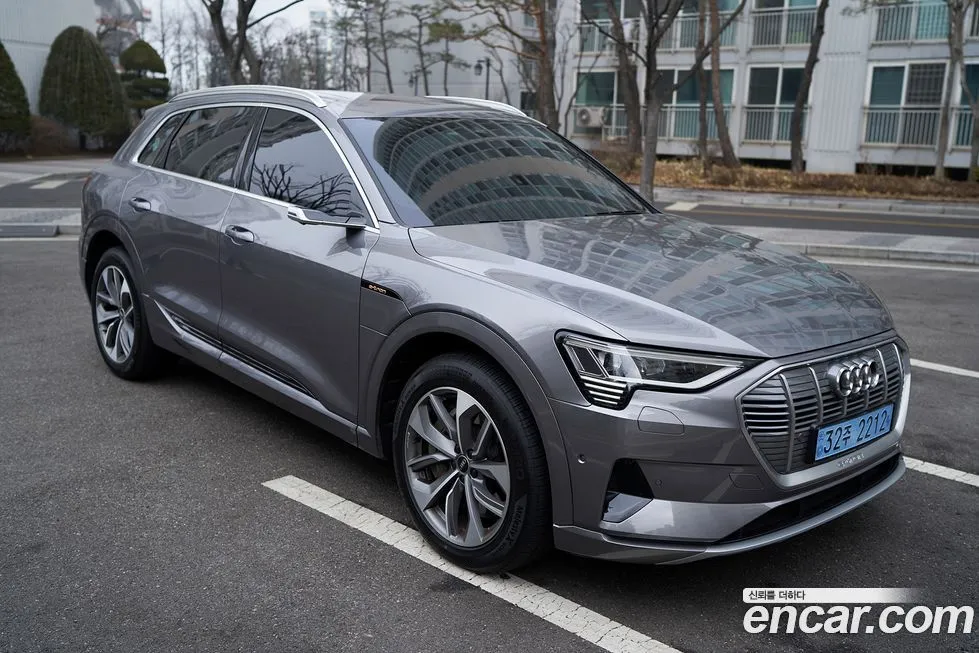 Audi e-tron 2021 из KR, фото 9