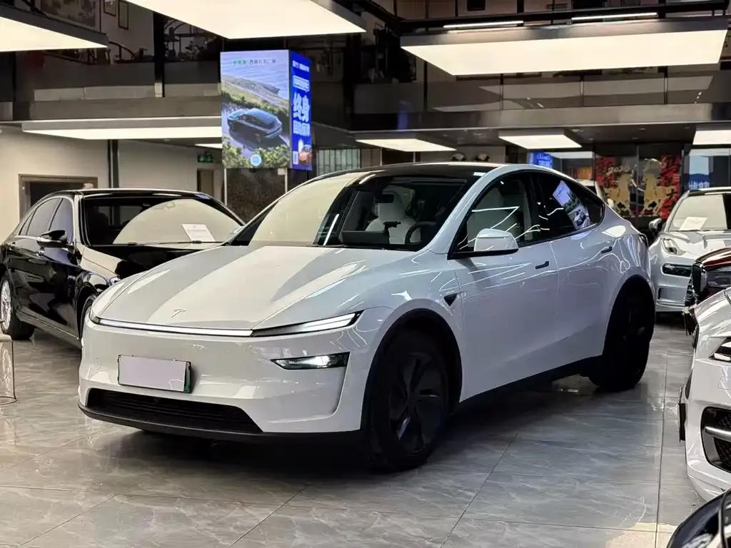 Tesla Model Y 2025 из CN, фото 1