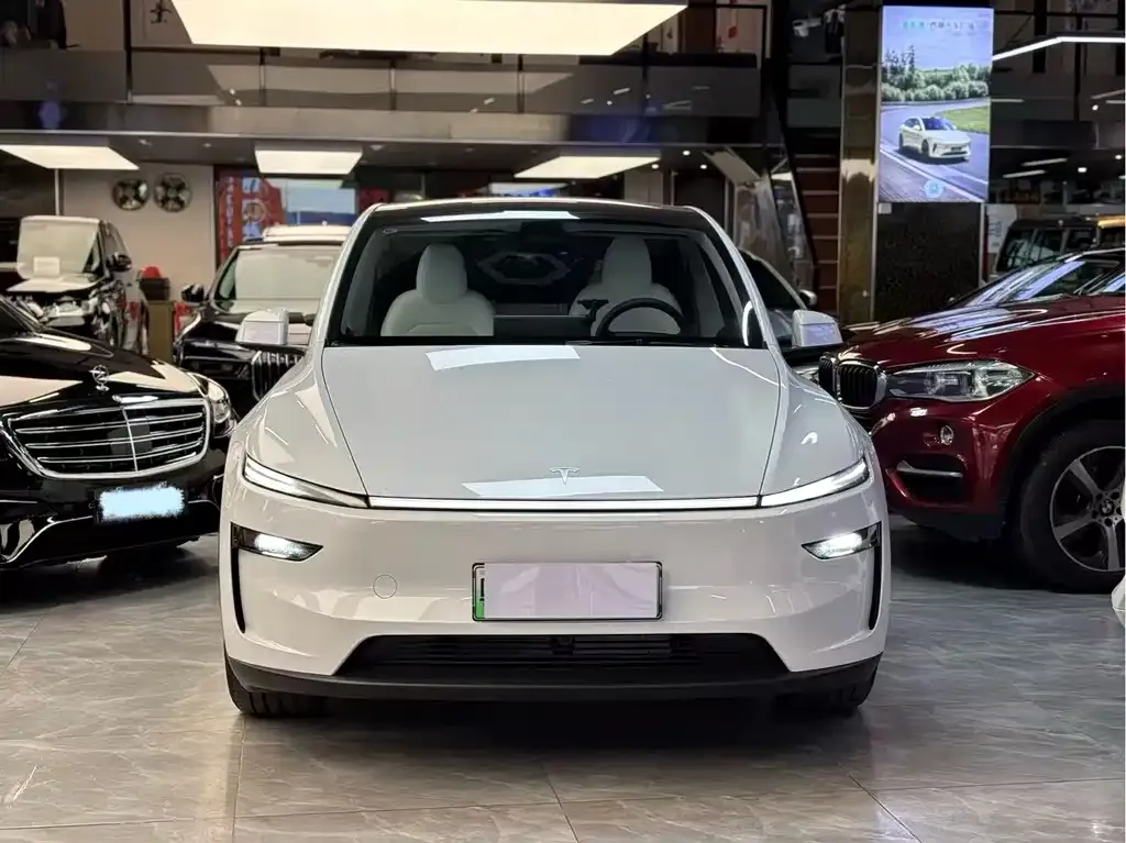 Tesla Model Y 2025 из CN, фото 3