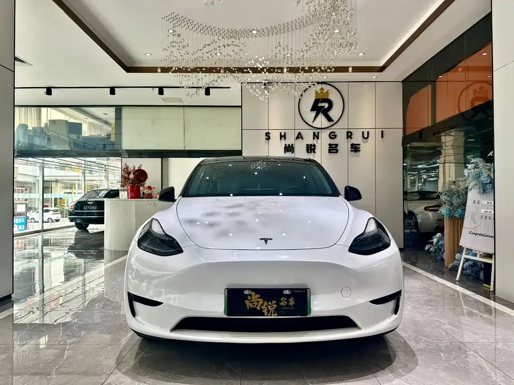 Tesla Model Y 2023 из CN, фото 5