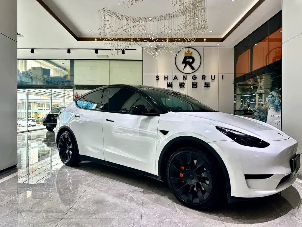Tesla Model Y 2023 из CN, фото 8