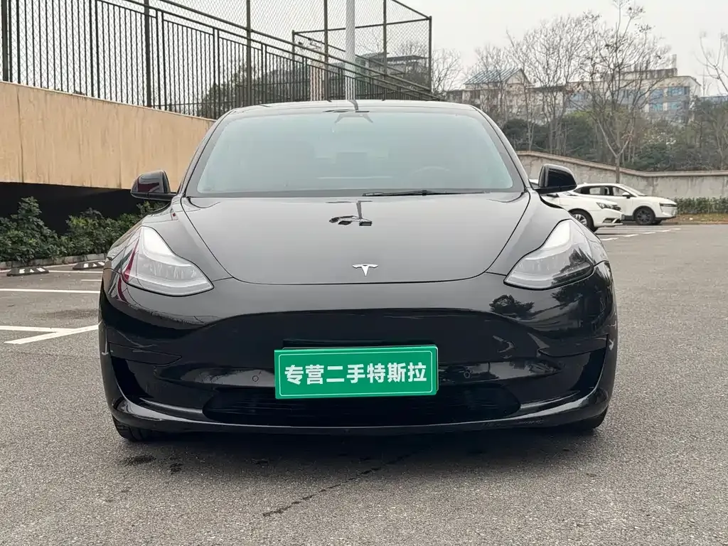 Tesla Model 3 2021 из CN, фото 1