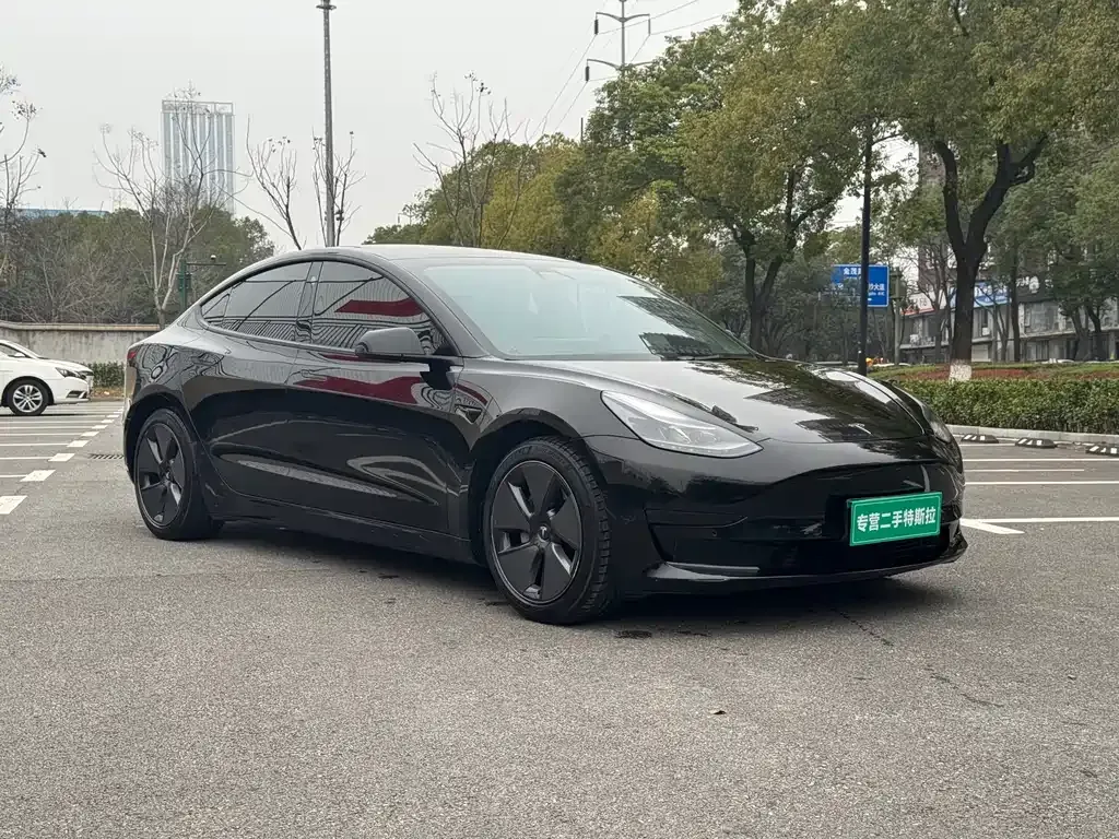 Tesla Model 3 2021 из CN, фото 9