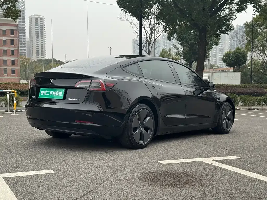 Tesla Model 3 2021 из CN, фото 8