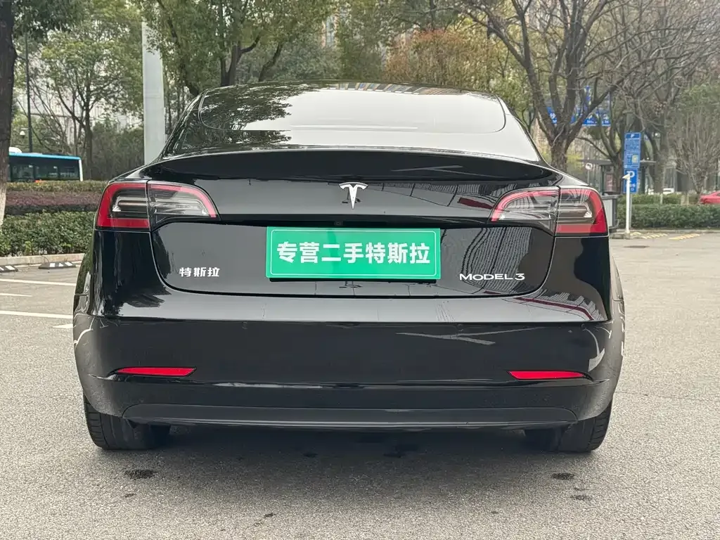 Tesla Model 3 2021 из CN, фото 5