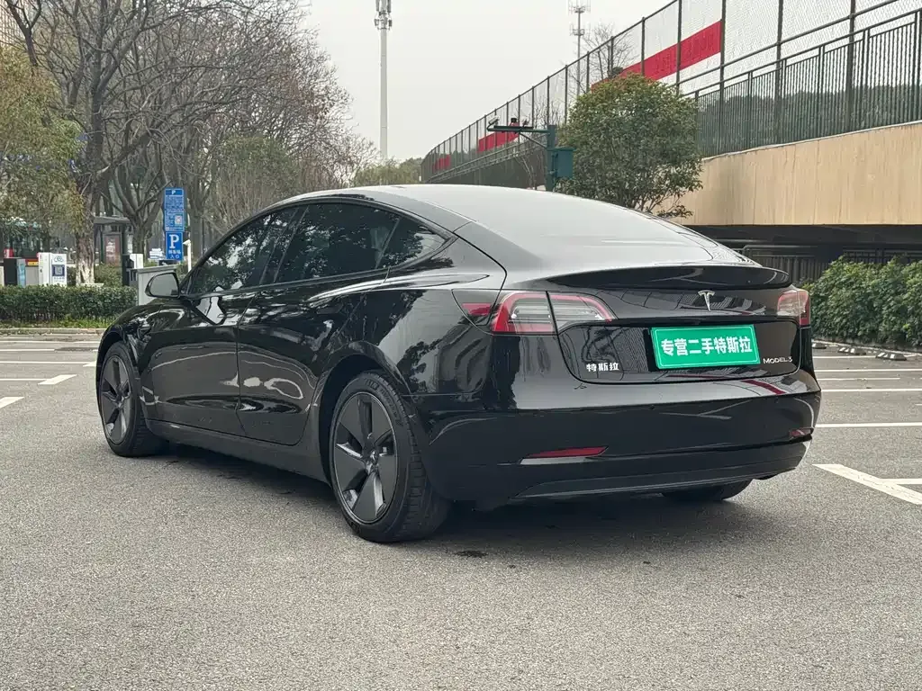 Tesla Model 3 2021 из CN, фото 6