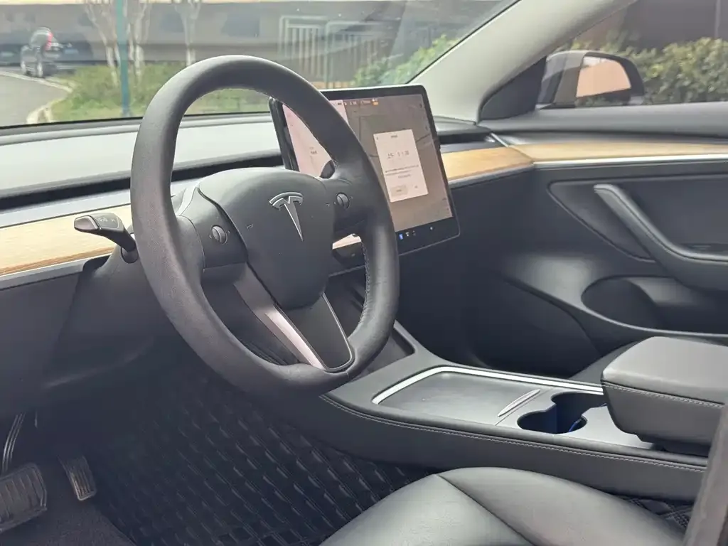 Tesla Model 3 2021 из CN, фото 3