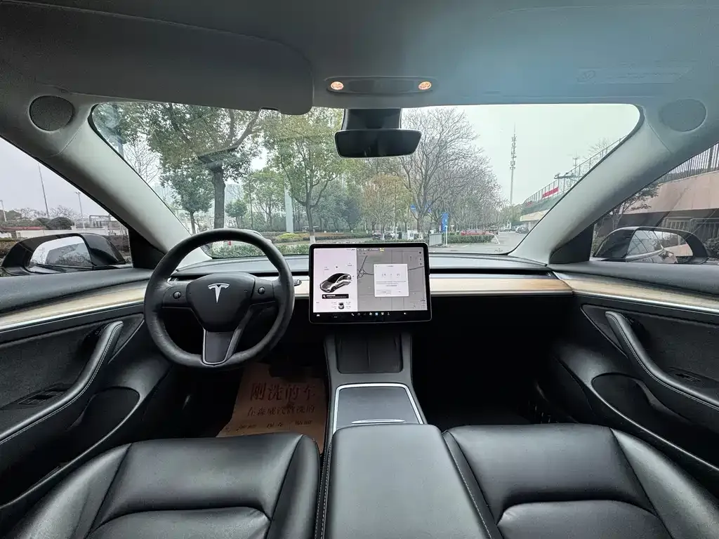 Tesla Model 3 2021 из CN, фото 4