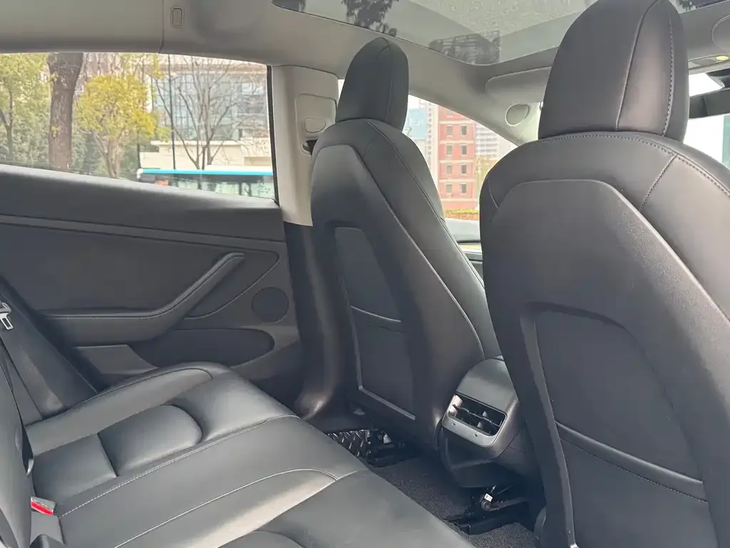 Tesla Model 3 2021 из CN, фото 2