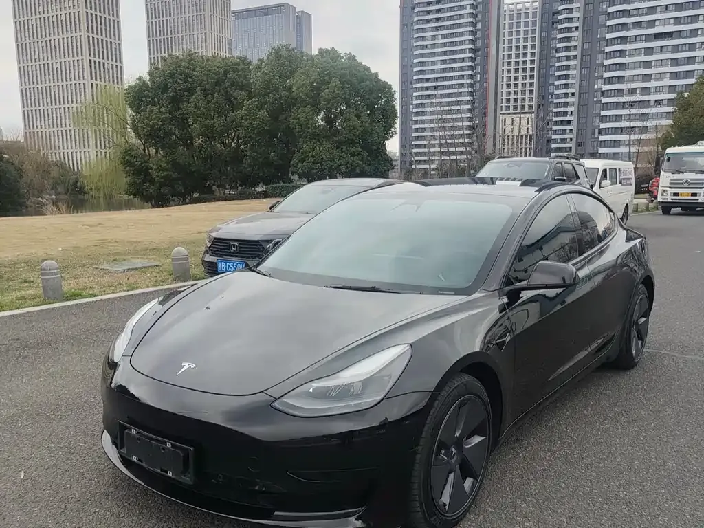 Tesla Model 3 2021 из CN, фото 1